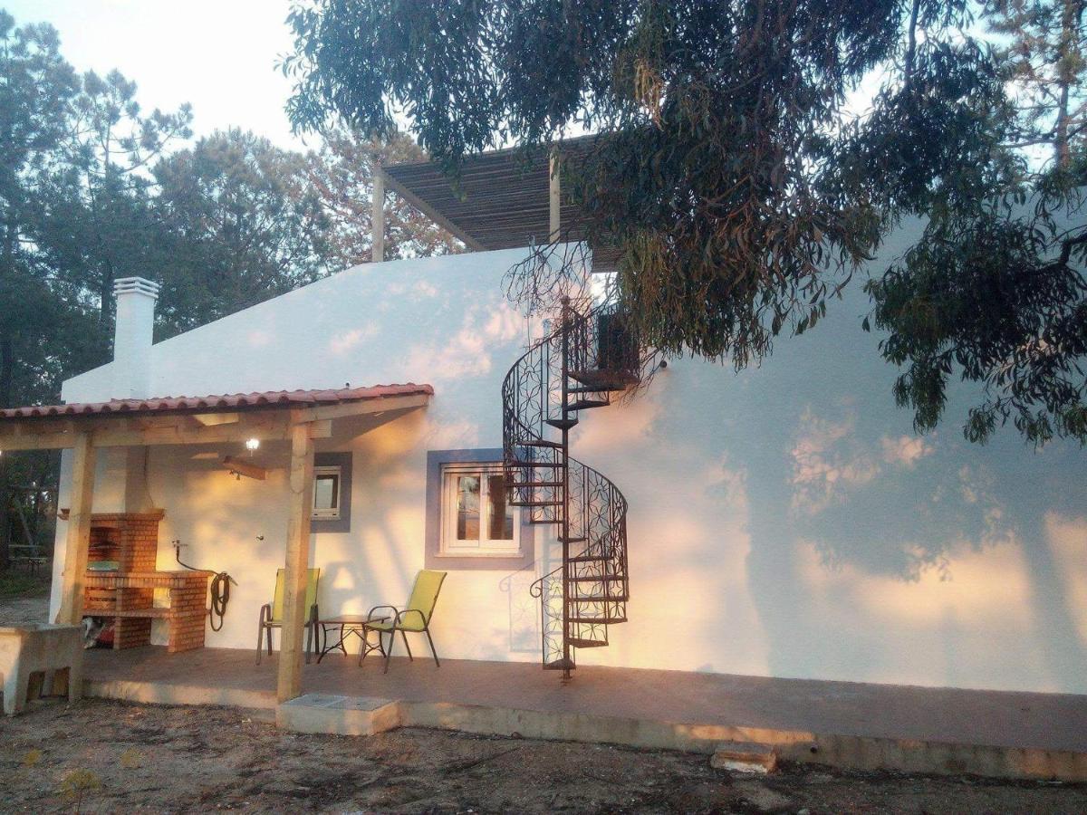 Casa Do Pinheiro - Parque Natural Da Ria Formosa. 塔维拉 外观 照片